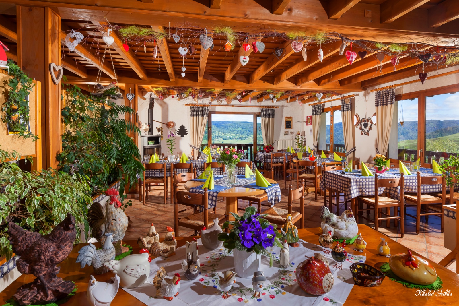 Khaledfrikha photographe hotel nancy lorraine k frikha photographe 2016  (16)069